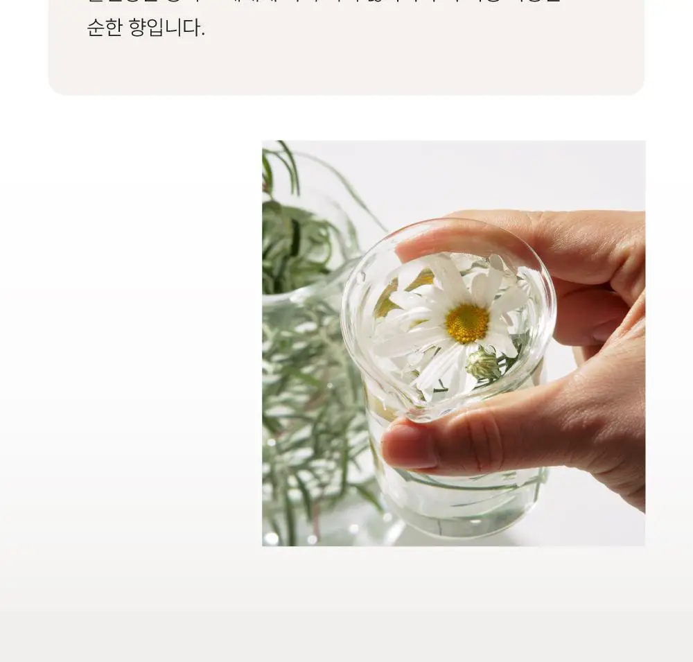 [수분진정/민감성] 닥터하스킨 미라클아토 하이드로 크림 50ml 상세페이지 25